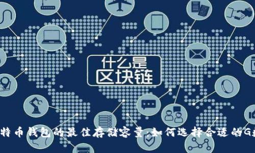 比特币钱包的最佳存储容量:如何选择合适的G数?