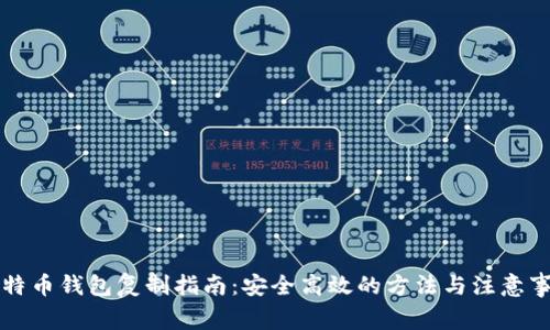 比特币钱包复制指南:安全高效的方法与注意事项