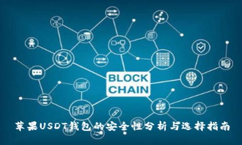 苹果USDT钱包的安全性分析与选择指南