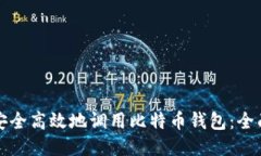 如何安全高效地调用比特币钱包：全面
