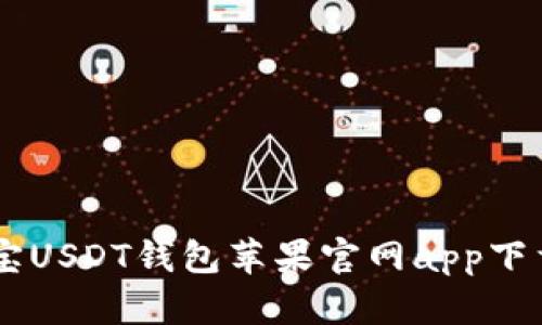 币付宝USDT钱包苹果官网app下载指南