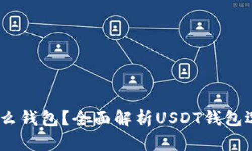 USDT一般装什么钱包？全面解析USDT钱包选择与使用指南
