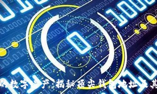   
比特币富豪的数字遗产：揭秘顶尖钱包地址及其背后的故事