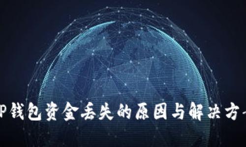 TP钱包资金丢失的原因与解决方案
