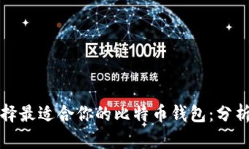 如何选择最适合你的比特币钱包：分析与推荐