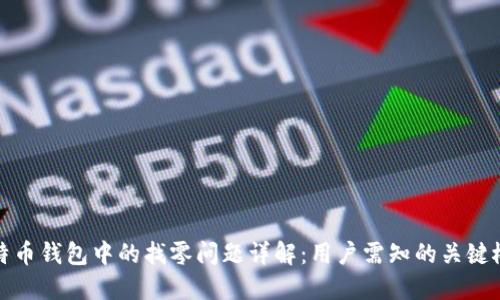 比特币钱包中的找零问题详解:用户需知的关键概念