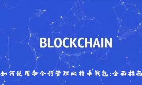 如何使用命令行管理比特币钱包:全面指南