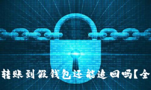 :
USDT转账到假钱包还能追回吗?全解析!