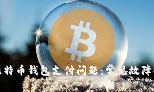 如何快速解决比特币钱包支付问题:常见故障排查与解决方案