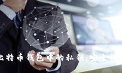 如何查看比特币钱包中的私钥：安全性