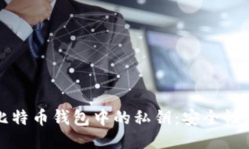 如何查看比特币钱包中的私钥：安全性与操作指南