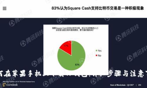 如何在苹果手机上下载TP钱包：详细步骤与注意事项