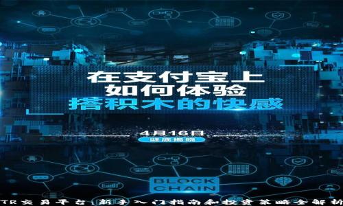 TR交易平台:新手入门指南和投资策略全解析