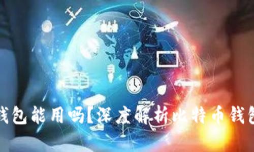 没有私钥的比特币钱包能用吗?深度解析比特币钱包的安全性与可用性