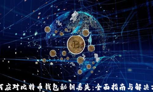 如何应对比特币钱包秘钥丢失:全面指南与解决方案