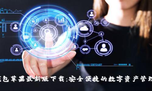 TP钱包苹果最新版下载:安全便捷的数字资产管理工具