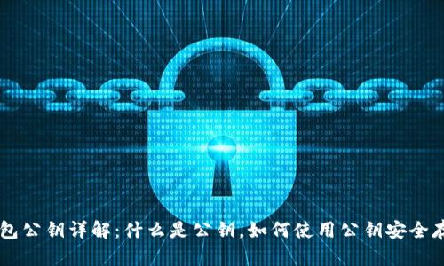 比特币钱包公钥详解:什么是公钥,如何使用公钥安全存储比特币