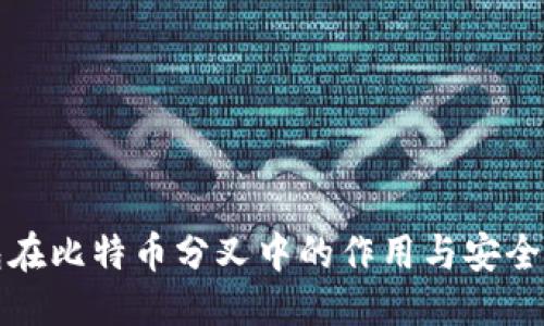 返回  
冷钱包在比特币分叉中的作用与安全性分析