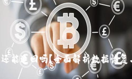 被盗的U盘还能追回吗?全面解析数据恢复与安全防护