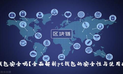 pt钱包安全吗?全面解析pt钱包的安全性与使用技巧