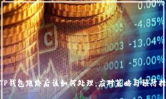 : TP钱包跑路后该如何处理：应对策略