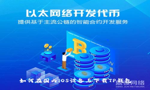 如何在国内iOS设备上下载TP钱包