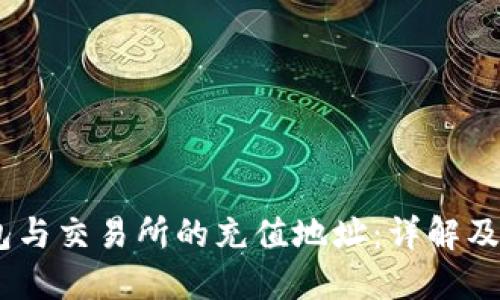 USDT钱包与交易所的充值地址：详解及使用指南