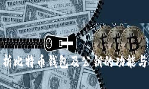 全面解析比特币钱包及公钥的功能与安全性