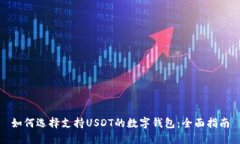 如何选择支持USDT的数字钱包：全面指