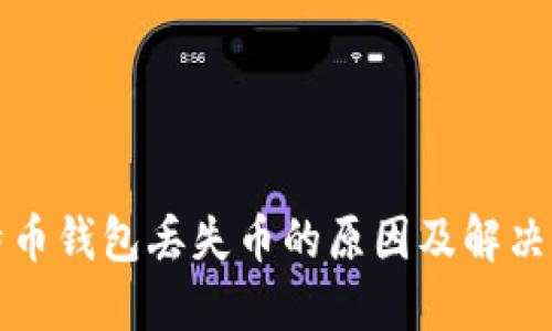 比特币钱包丢失币的原因及解决方案