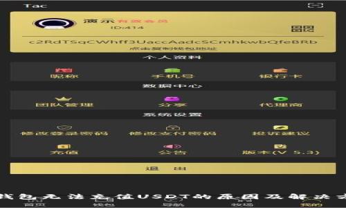 TP钱包无法充值USDT的原因及解决方案