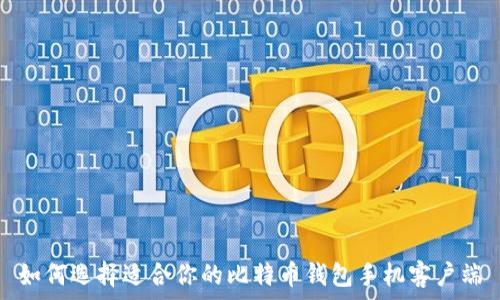   
如何选择适合你的比特币钱包手机客户端