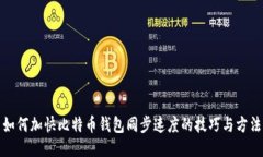 如何加快比特币钱包同步速度的技巧与