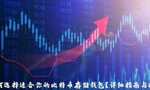 
如何选择适合你的比特币存储钱包？详细指南与推荐