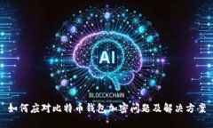 如何应对比特币钱包加密问题及解决方案