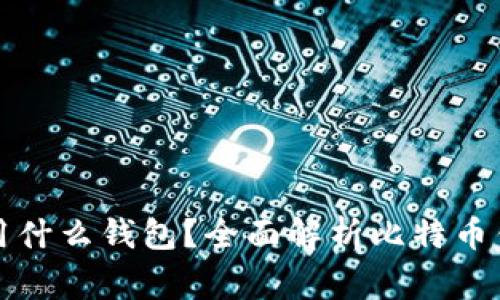 大家比特币一般用什么钱包？全面解析比特币钱包的类型与选择