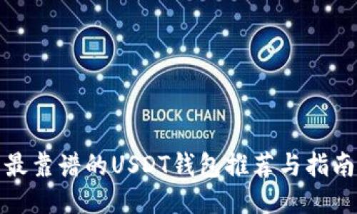 最靠谱的USDT钱包推荐与指南