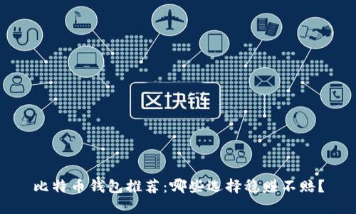 比特币钱包推荐：哪些选择稳赚不赔？