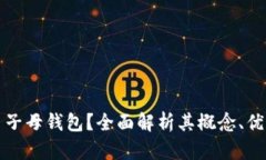 什么是比特币子母钱包？全面解析其概