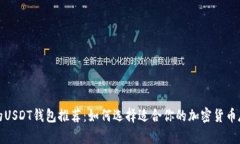 最安全的USDT钱包推荐：如何选择适合