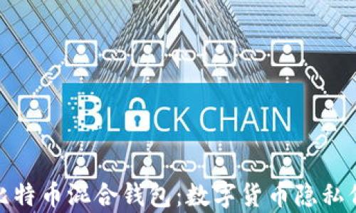
全面解析比特币混合钱包：数字货币隐私保护新选择
