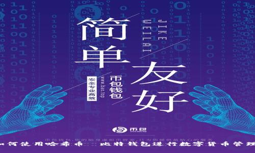 如何使用哈希币犇比特钱包进行数字货币管理？