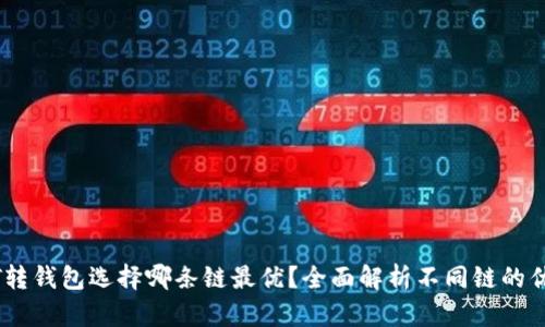 USDT转钱包选择哪条链最优？全面解析不同链的优缺点