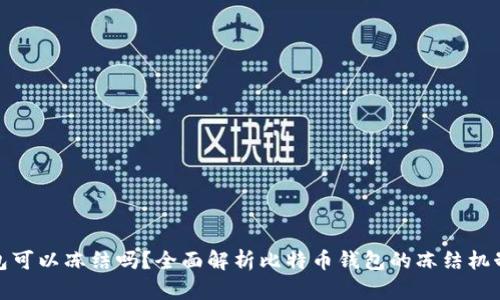 比特币钱包可以冻结吗？全面解析比特币钱包的冻结机制及其影响