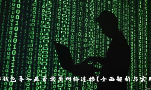 Web3钱包导入是否需要网络连接？全面解析与实用指南