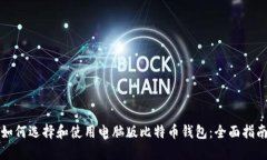 如何选择和使用电脑版比特币钱包：全