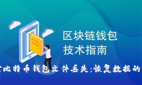 如何应对比特币钱包文件丢失：恢复数据的完整指南