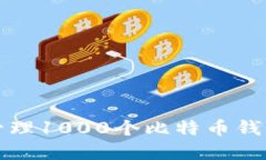 如何选择和管理1000个比特币钱包的最