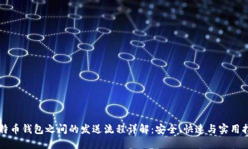 比特币钱包之间的发送流程详解:安全、快速与实用指南