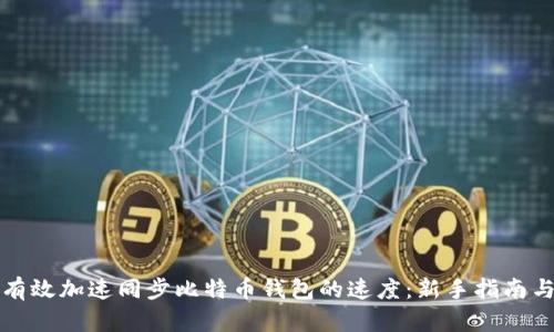 如何有效加速同步比特币钱包的速度:新手指南与技巧